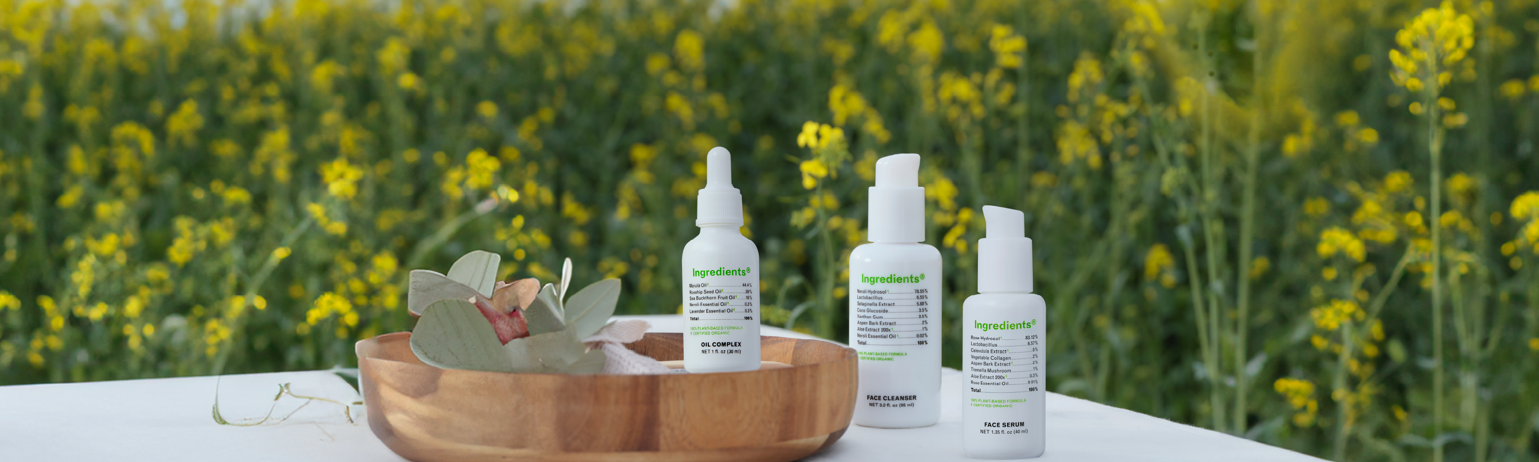 Daily Essentials – Ingredients® Wellness