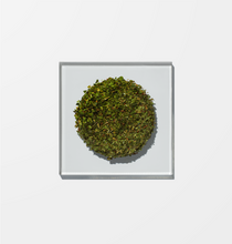 Load image into Gallery viewer, Verbena Herbal Tea
